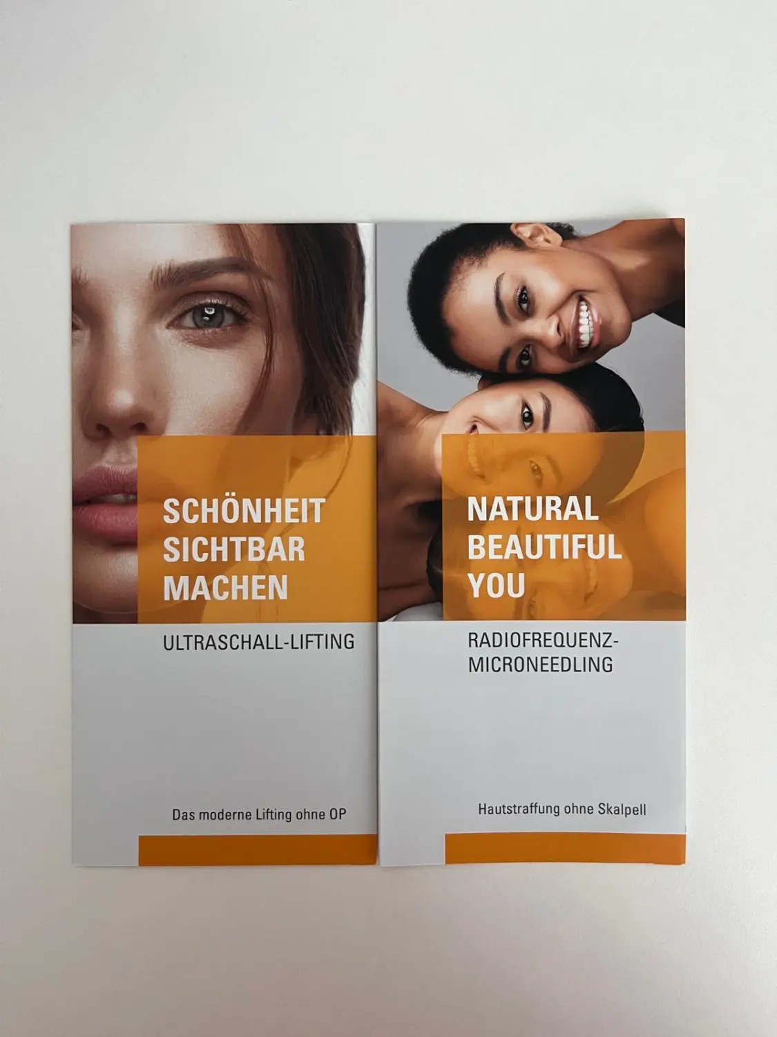 Steiner Ästhetik - Relift Flugblatt