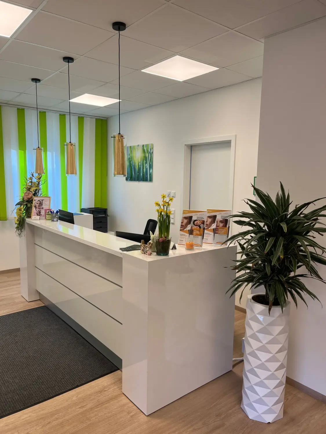 Steiner Ästhetik - Praxis